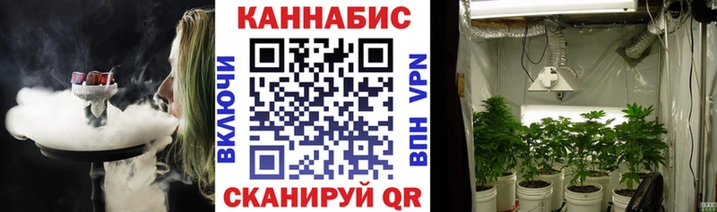 Марихуана семена  Купить закладки  Дятьково 